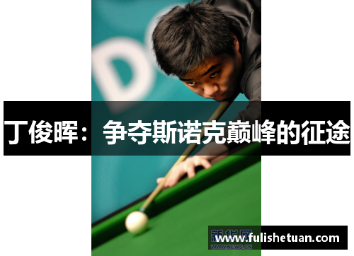 丁俊晖：争夺斯诺克巅峰的征途